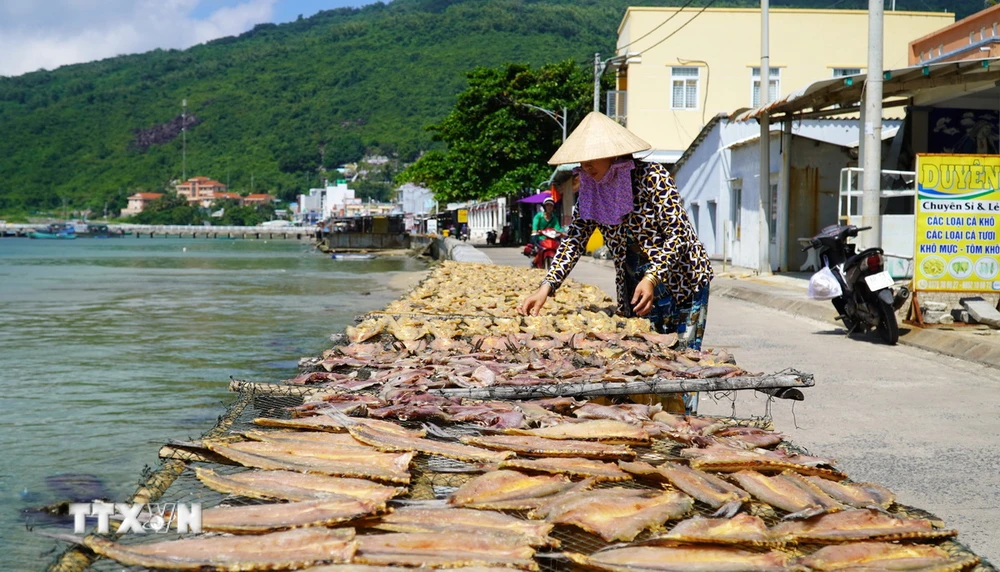 Người dân xã đảo Lại Sơn, huyện Kiên Hải, tỉnh Kiên Giang phơi cá khô. (Ảnh: Văn Sĩ/TTXVN)