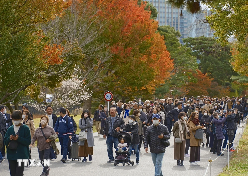 Lá cây chuyển màu đỏ và vàng tại Tokyo, Nhật Bản. (Ảnh: Kyodo/TTXVN)