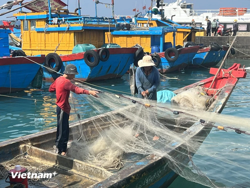 Việt Nam đang nỗ lực phát triển ngành nuôi trồng và khai thác hải sản bền vững. (Ảnh: PV/Vietnam+)