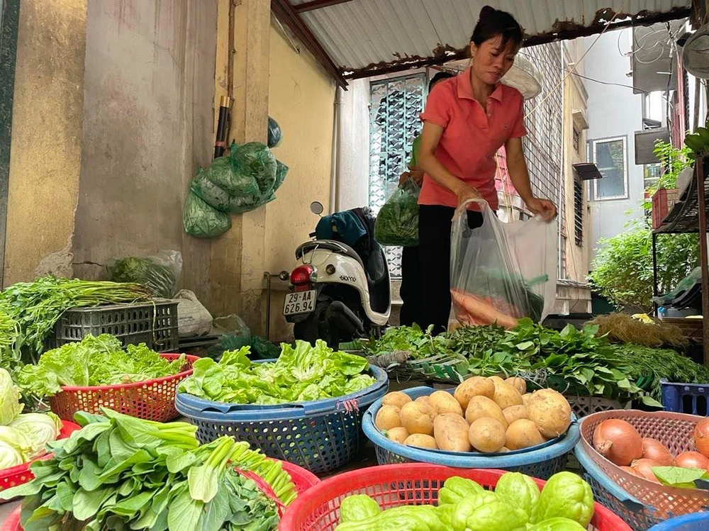 Các mặt hàng rau xanh hiện đã giảm mạnh tới 50% so với thời điểm tuần trước. (Ảnh: PV/Vietnam+)
