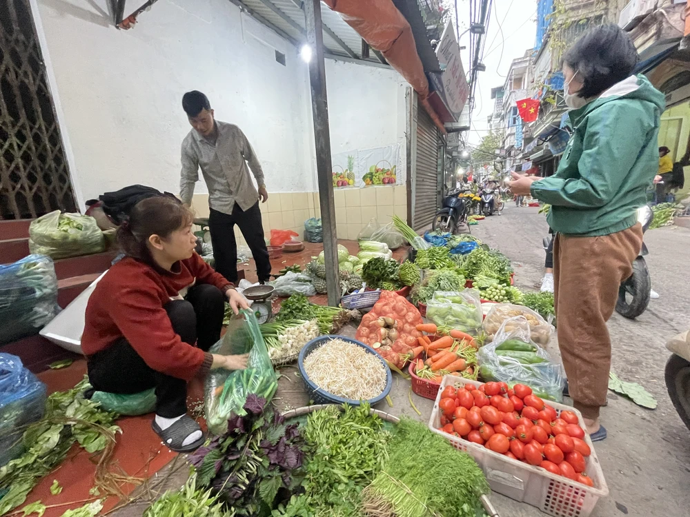 Nguồn cung thực phẩm rau xanh, thịt dồi dào tại các chợ trên địa bàn Thủ đô sau kỳ nghỉ Tết Nguyên đán. (Ảnh: Minh Hiếu/Vietnam+)
