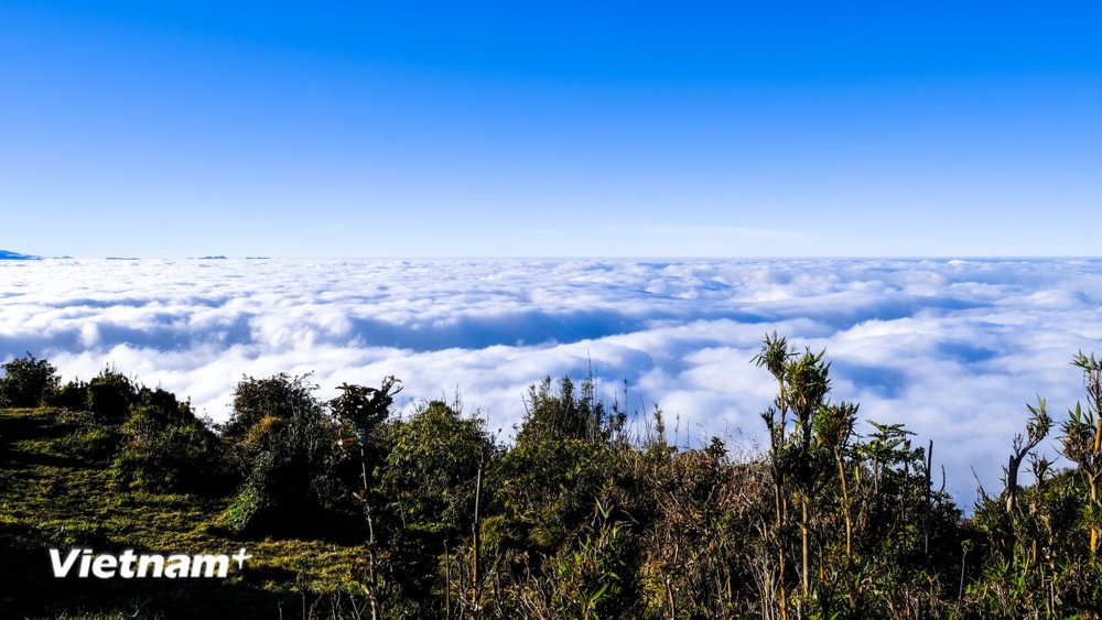 vnp_ lung cung 2.jpg