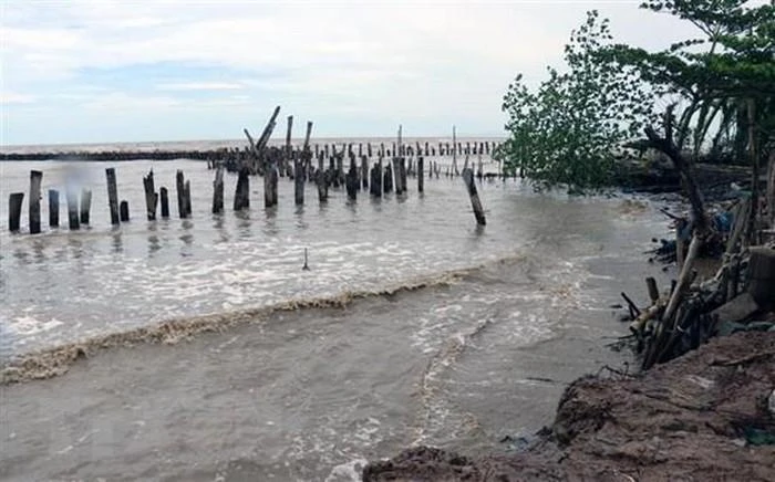 Nước biển dâng gây xói lở và ngập mặn tại Đồng bằng sông Cửu Long. (Ảnh: Lê Huy Hải/TTXVN)
