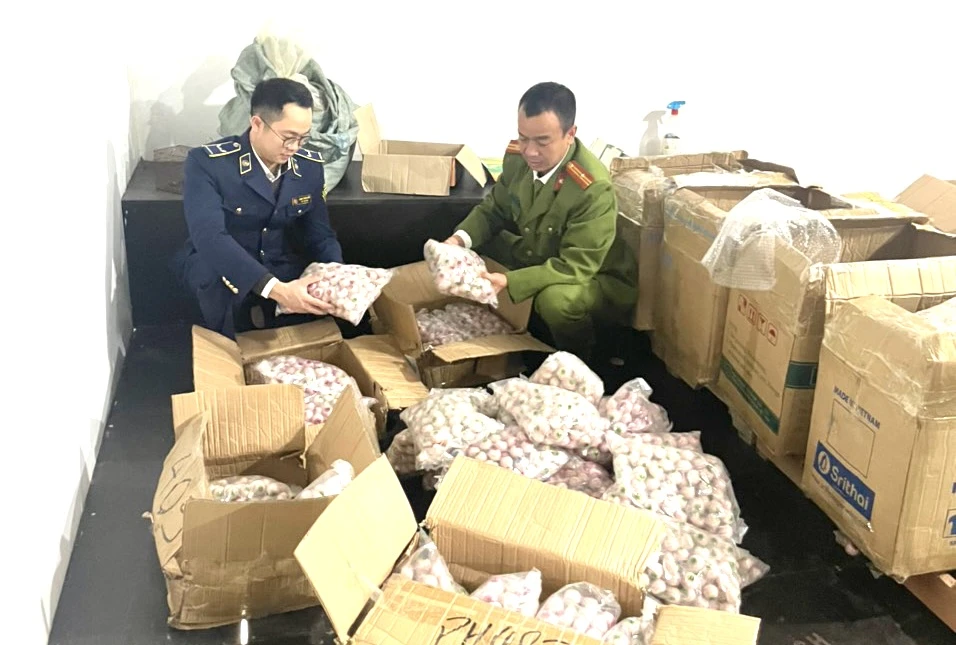Lực lượng chức năng phát hiện kẹo hình mắt người tại một cơ sở kinh doanh trên địa bàn huyện Đông Anh, Hà Nội. (Ảnh: PV/Vietnam+)