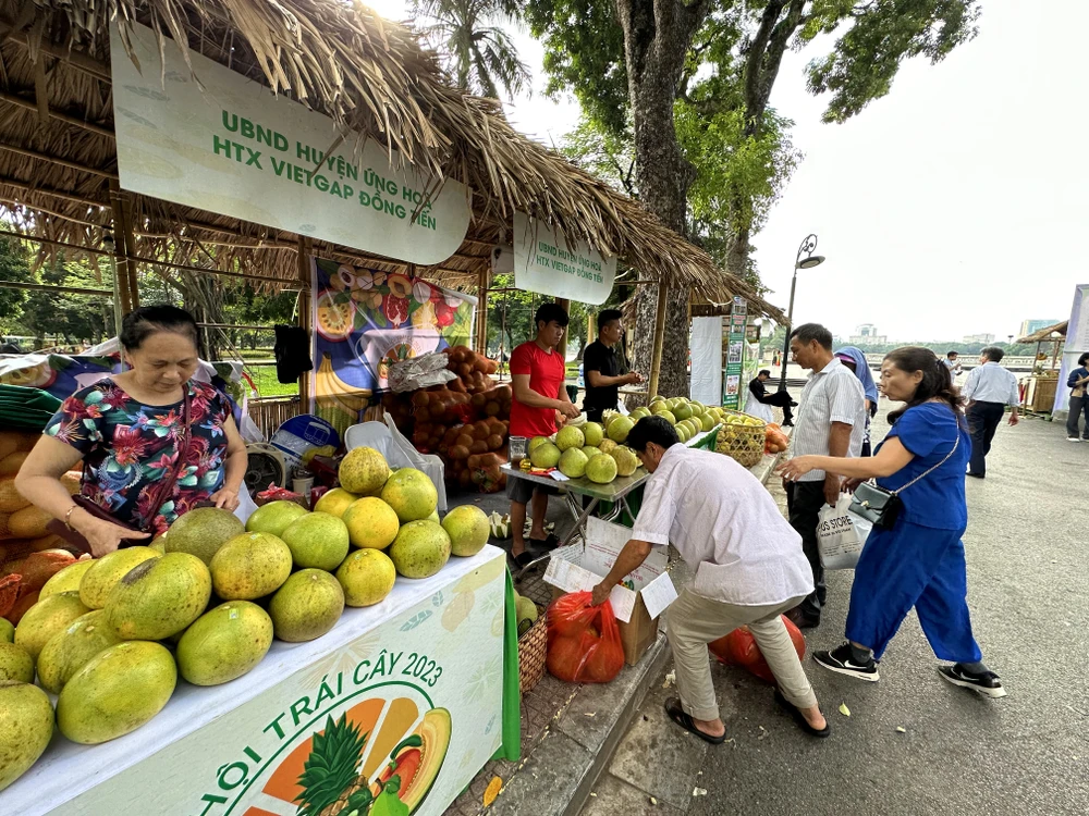 Người tiêu dùng mua sản phẩm VietGap tại Lễ hội trái cây. (Ảnh: Xuân Quảng/Vietnam+)