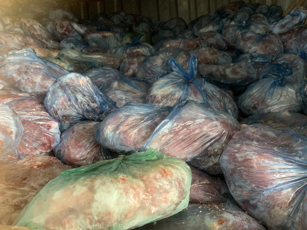 Kho thịt lợn lên tới 40 tấn nhiễm bệnh nguy hiểm bị phát hiện tại huyện Chương Mỹ. (Ảnh: PV/Vietnam+)