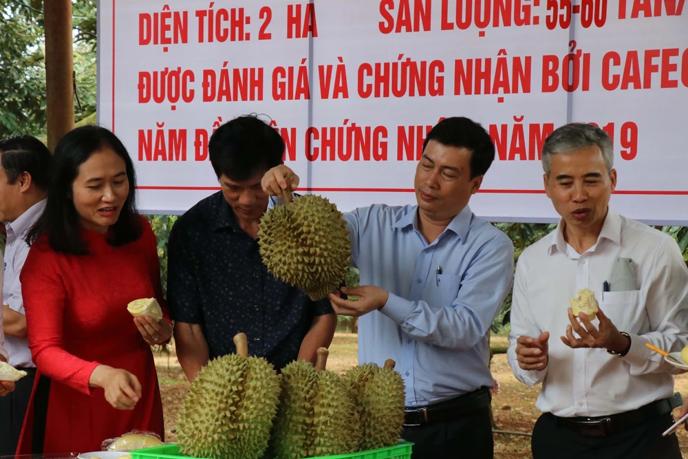 Quảng bá sản phẩm sầu riêng của Krông Pắc, Đắk Lắk. (Ảnh: TTXVN)