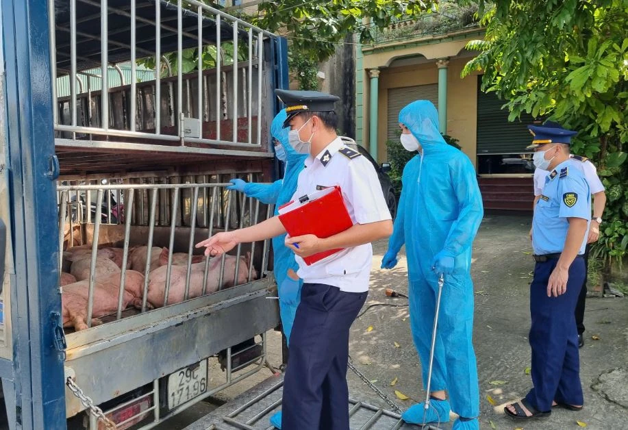 Lực lượng liên ngành tỉnh Thái Nguyên kiểm tra phương tiện chở động vật lưu thông trên địa bàn. (Ảnh: dms)