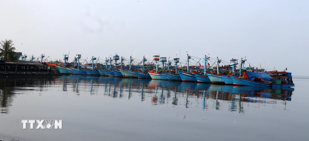 Tàu cá ngư dân neo đậu nghỉ Tết trên khu vực biển thành phố Rạch Giá (Kiên Giang). (Ảnh: Lê Huy Hải/TTXVN)