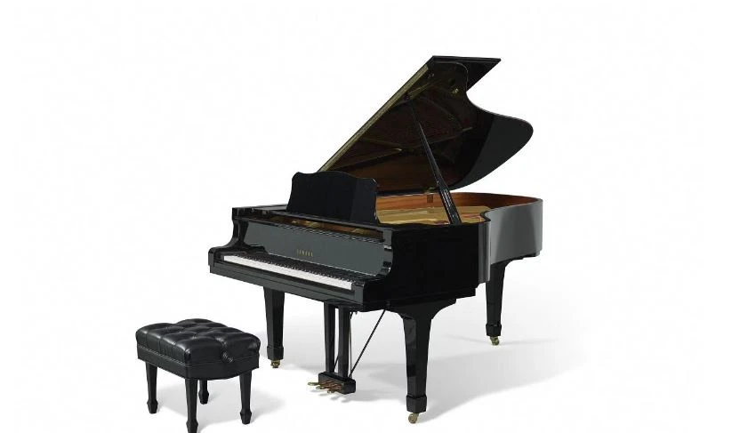 Cây đàn piano của Elton John được bán với giá hơn 200.000 USD. (Nguồn: AFP)