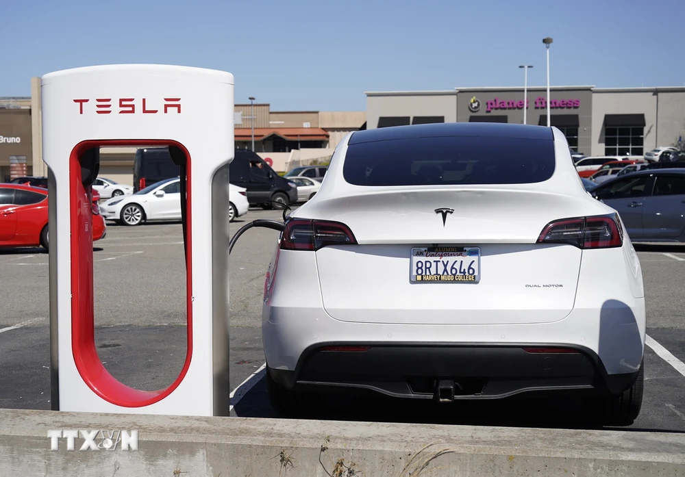 Ôtô điện của hãng Tesla tại bãi đỗ xe ở San Bruno, California, Mỹ, ngày 2/4/2024. (Ảnh: THX/TTXVN)