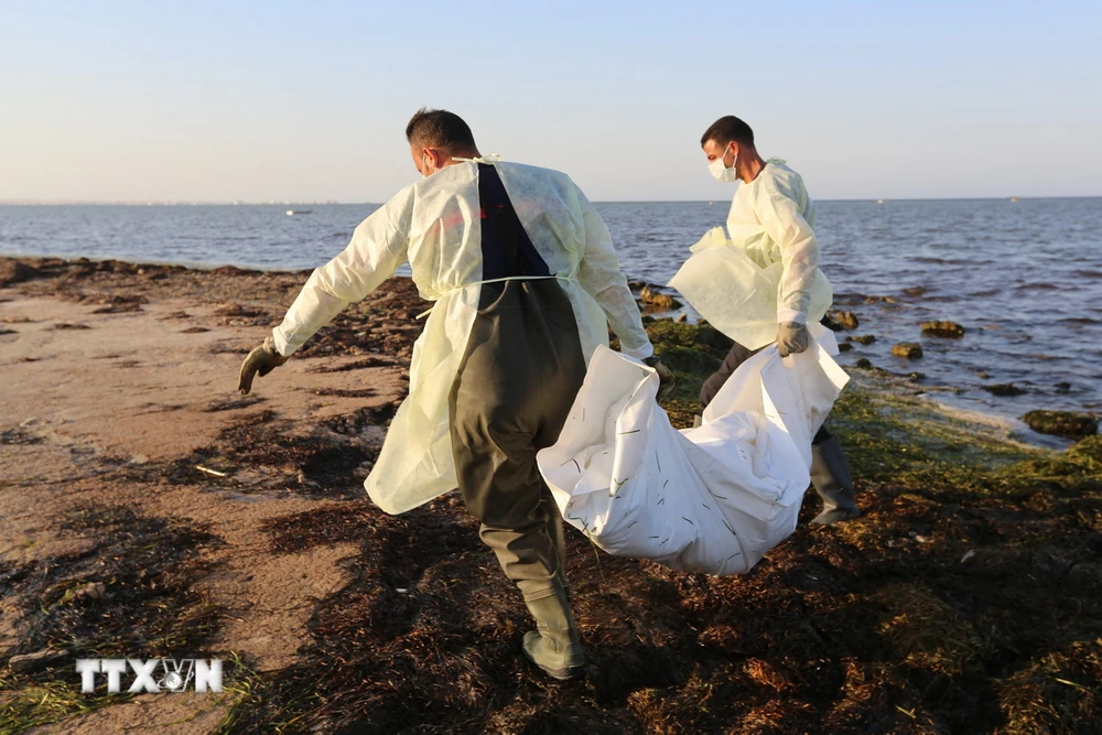 Lực lượng cứu hộ chuyển thi thể người di cư ở bờ biển thành phố Zarzis, Tunisia. (Ảnh: AFP/TTXVN)