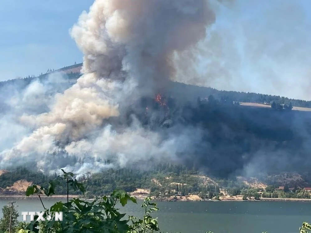 Các vụ cháy rừng là một trong những nguyên nhân khiến chất lượng không khí ở một số khu vực của Mỹ giảm xuống mức thấp. (Ảnh: Oregon Live/TTXVN)