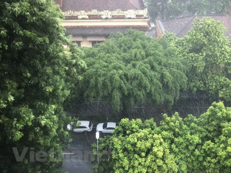 Thủ đô Hà Nội nhiều mây, có mưa vừa, mưa to, cục bộ có mưa rất to và rải rác có dông. (Nguồn: Vietnam+)