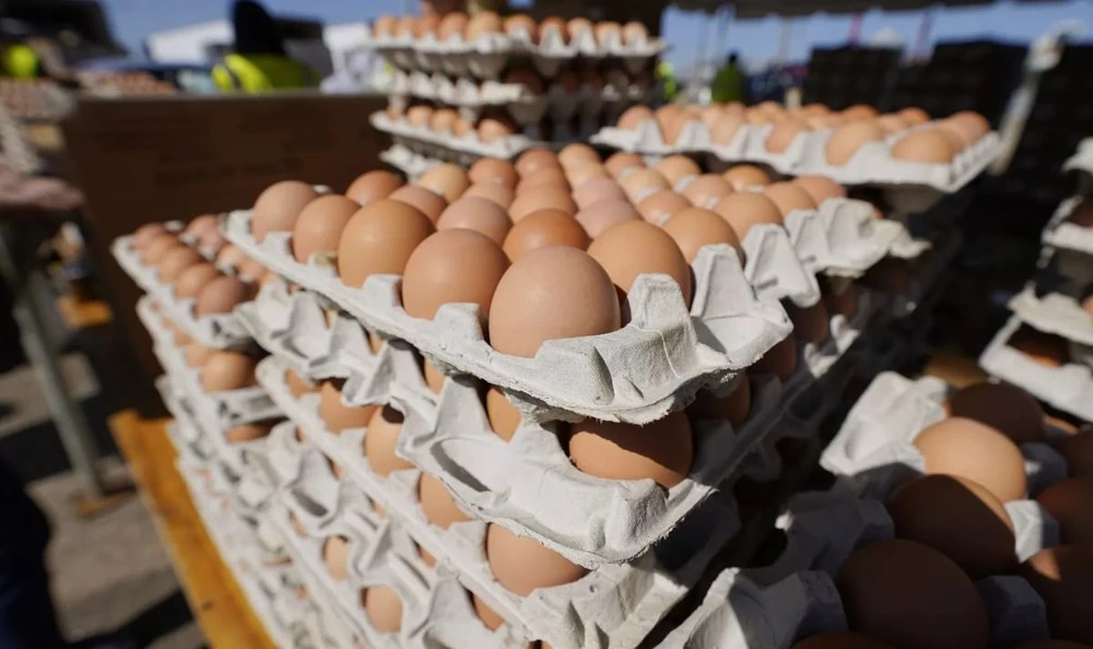 EC thông báo sẽ áp thuế đối với trứng nhập khẩu từ Ukraine trong vòng hai tuần tới. (Nguồn: AP)