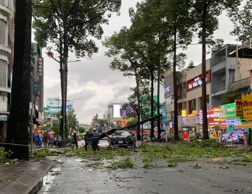 Chiều 14/7, một cây xanh lớn bị gió thổi bật gốc, đè lên xe ôtô trên đường Ngô Gia Tự, quận 10, Thành phố Hồ Chí Minh. (Ảnh: TTXVN phát)