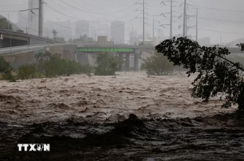 Ảnh minh họa. (Nguồn: REUTERS/TTXVN