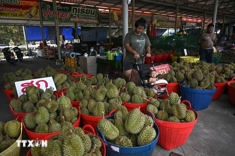 Sầu riêng được bày bán tại tỉnh Chanthaburi, Thái Lan ngày 1/5/2024. (Ảnh: AFP/TTXVN)