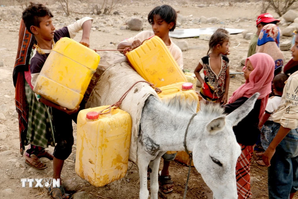 Trẻ em lấy nước sinh hoạt tại một trại tị nạn ở tỉnh Hodeida, Yemen. (Ảnh: AFP/TTXVN)