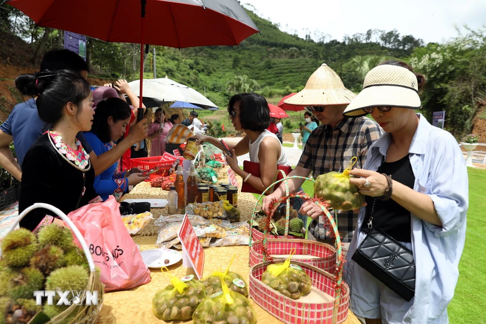 Các hộ trồng dẻ ở xã Quảng Lạc, thành phố Lạng Sơn giới thiệu, quảng bá đặc sản hạt dẻ với đặc trưng hạt to, ăn bùi và rất thơm tới du khách trong và ngoài tỉnh. (Ảnh: Văn Đạt/TTXVN)