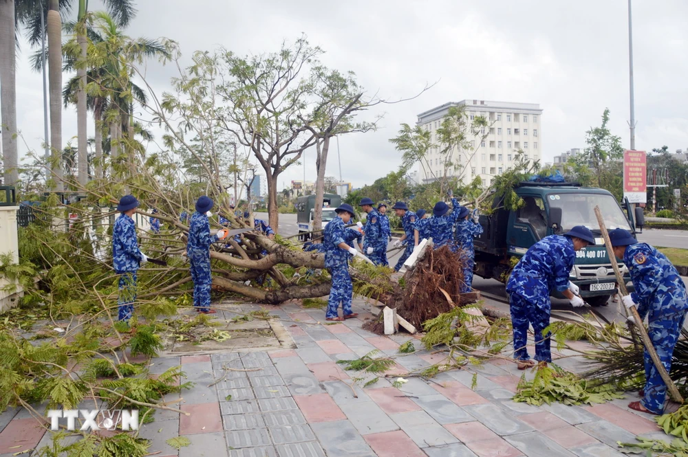 Lực lượng Cảnh sát biển dọn dẹp cây bị đổ quận Hải An, thành phố Hải Phòng. (Ảnh: Hoàng Ngọc/TTXVN)