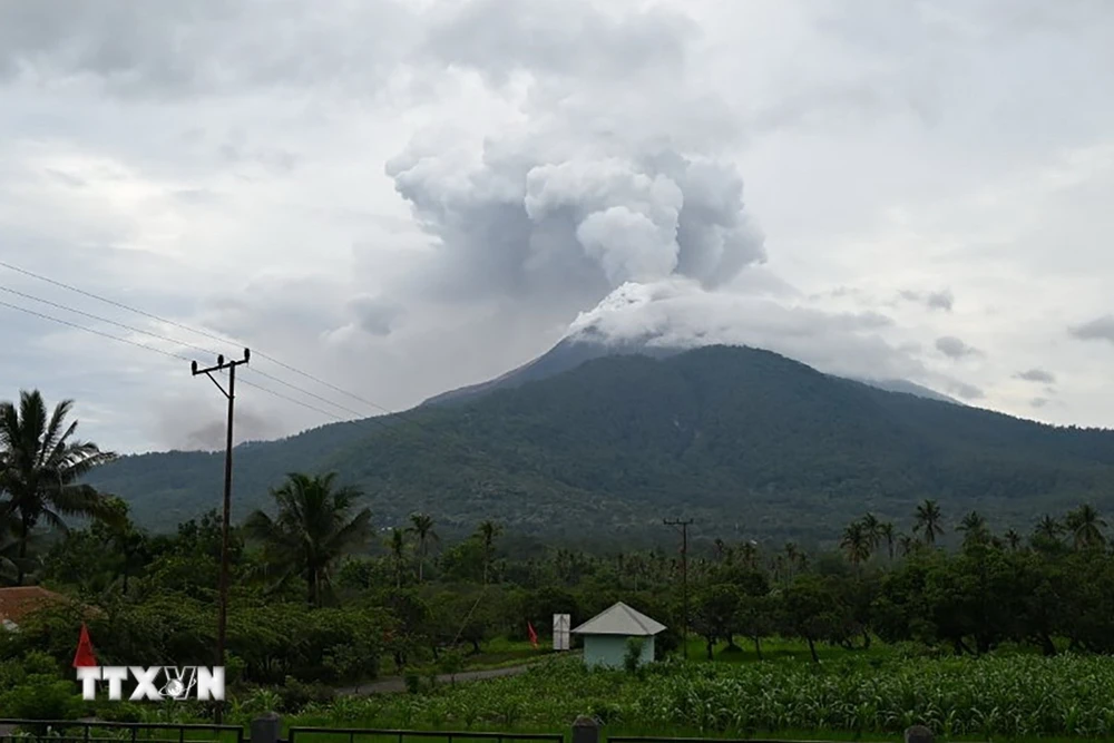 Tro bụi phun lên từ miệng núi lửa Lewotobi Laki-Laki, nhìn từ làng Pulolera ở huyện Flores Timur, Đông Nusa Tenggara, Indonesia. (Ảnh: THX/TTXVN)