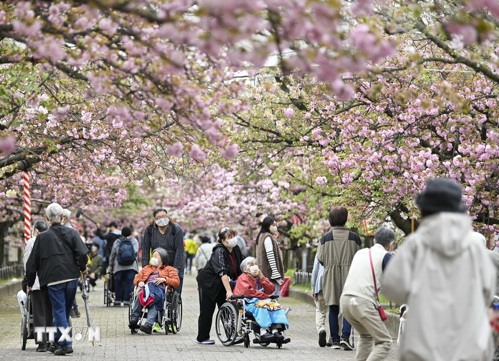 Người cao tuổi tại Osaka, Nhật Bản. (Ảnh: Kyodo/TTXVN)