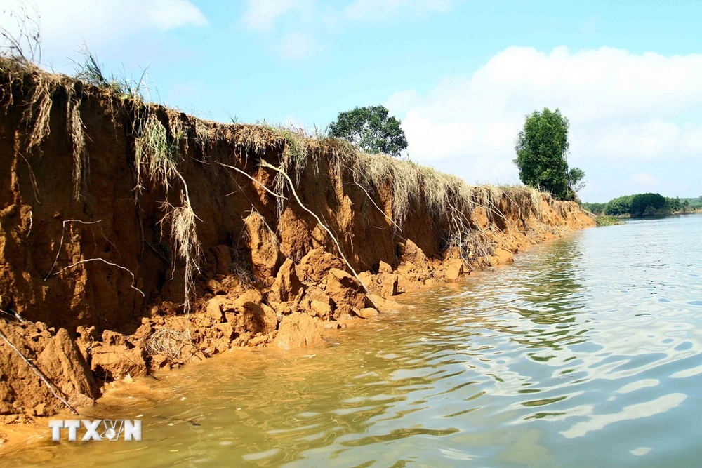 Khoảng 1,5km bờ sông Kiến Giang đoạn chảy qua xã Trường Thủy (huyện Lệ Thủy) bị sạt lở nghiêm trọng. (Ảnh: Tá Chuyên/TTXVN)