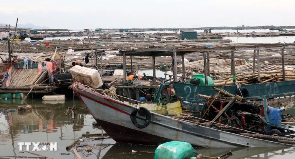 Người nộp thuế cũng được miễn tiền chậm nộp trong trường hợp bất khả kháng. (Ảnh: TTXVN)