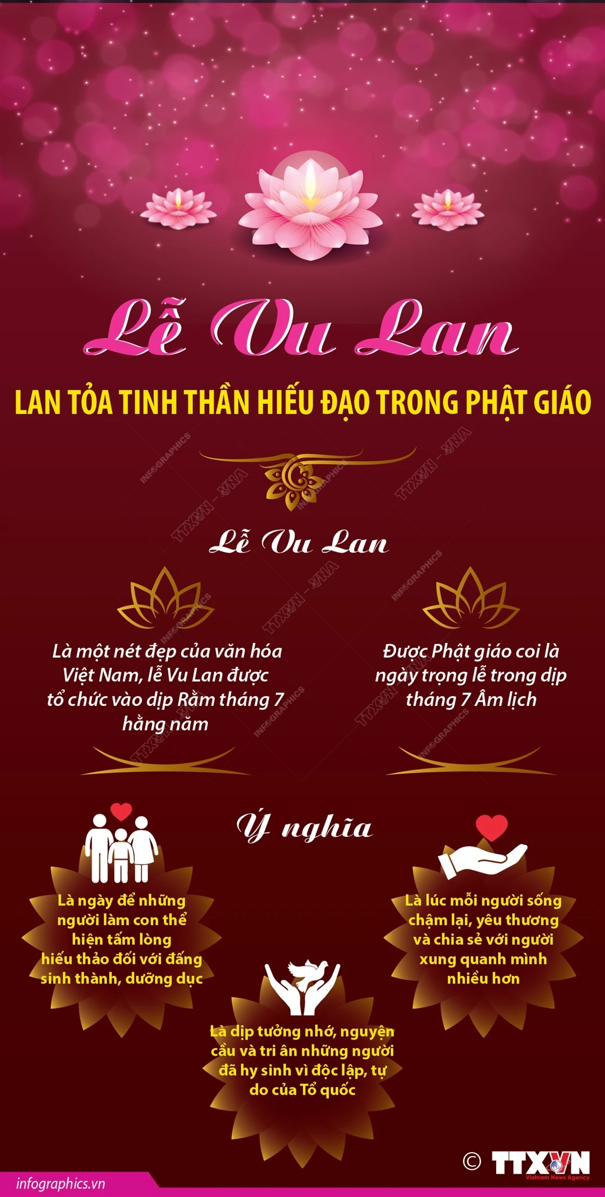 2024-8-16-vn-le-vu-lan-ngoc.jpeg