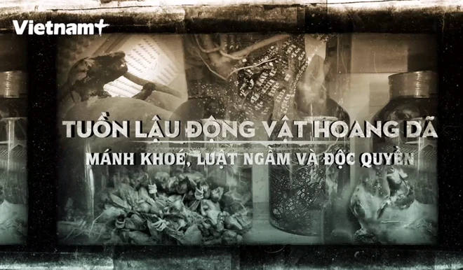 dong-vat-hoang-da-1784.png