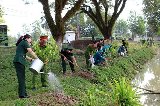 Chỉ thị số 03: Góp sức trồng 1 tỷ cây xanh, vì một Việt Nam xanh ảnh 4