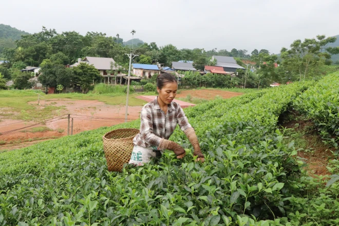 dinh hoa_chien thang dien bien phu 3.jpg