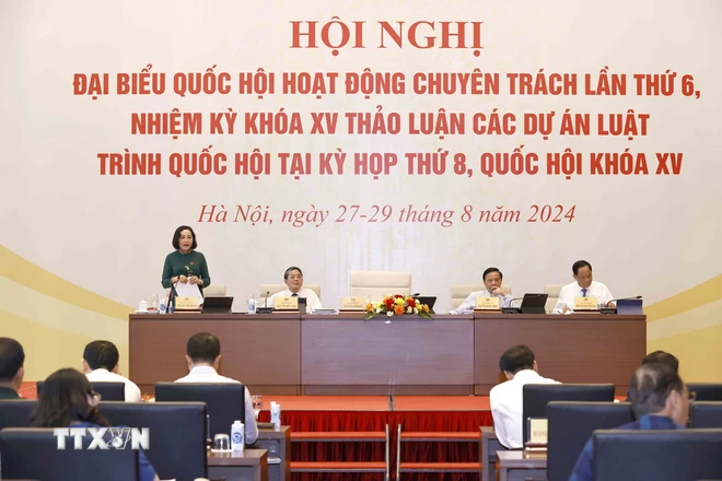 ttxvn_dai bieu quoc hoi chuyen trach.jpg