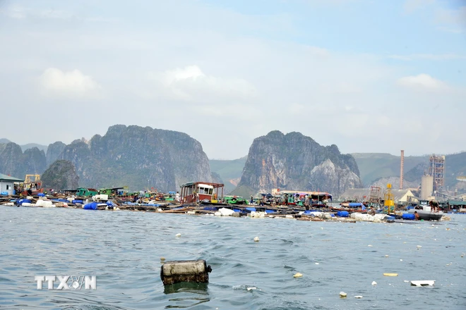 ttxvn_thuy san quang ninh.jpg