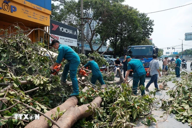 ttxvn_nguoi_dan_thu_do_lam_ve_sinh_moi_truong_1509-2.jpg