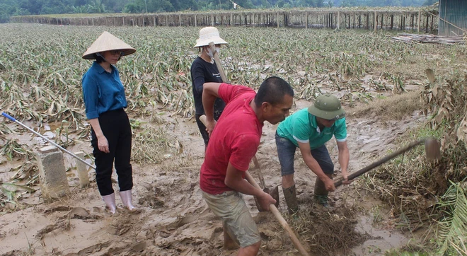 khoi phuc san xuat tai Lao Cai_resize.png