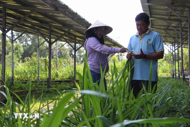 Giải pháp nào cho phát triển bền vững kinh tế tuần hoàn ở Việt Nam?