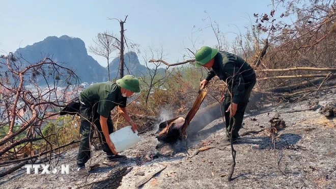 TTXVN_1610 trong rung Quang Ninh 3.jpg