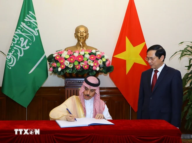 ttxvn_viet nam saudi arabia (2).jpg