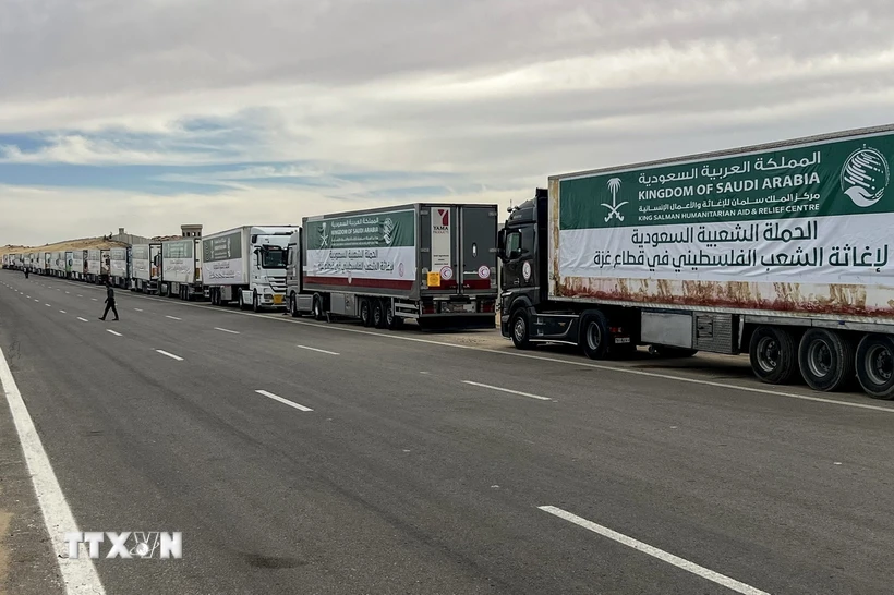 Đoàn xe tải chở hàng viện trợ cho Gaza chờ di chuyển qua cửa khẩu Rafah, ngày 22/11/2023. Ảnh: AFP/TTXVN