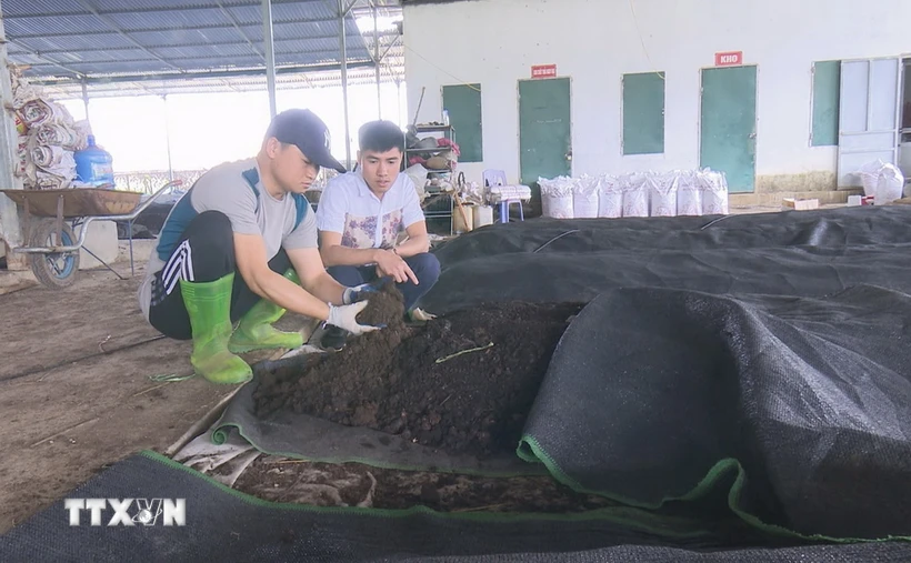 Sản suất phân bón hữu cơ tại Hợp tác xã Nông nghiệp Sơn La, huyện Mai Sơn, tỉnh Sơn La. (Ảnh: TTXVN phát)