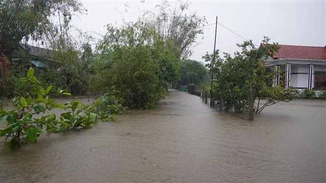 Nhiều xã vùng trũng của huyện Hải Lăng (Quảng Trị) ngập sâu trong nước trong đợt mưa lớn từ ngày 13/11. (Ảnh: Thanh Thủy/TTXVN)
