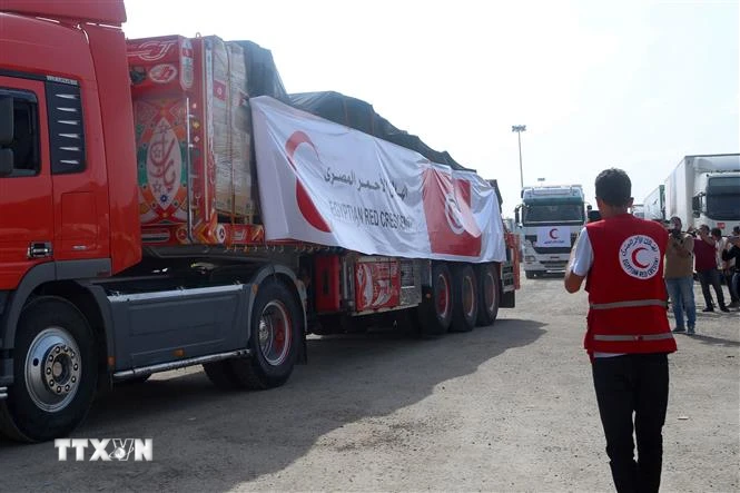 Đoàn xe chở hàng cứu trợ tới Dải Gaza ngày 22/10/2023. (Ảnh: AFP/TTXVN)