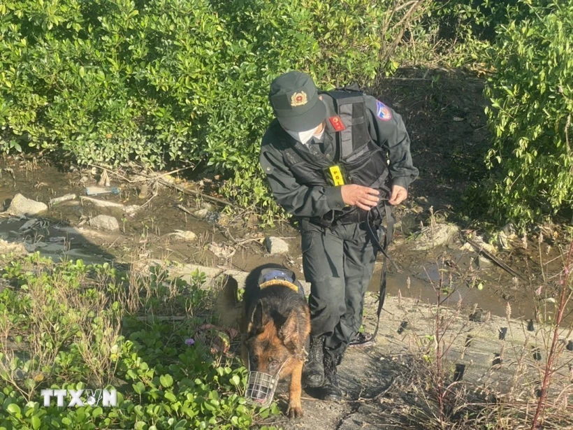 Cảnh sát cơ động và chó nghiệp vụ truy tìm 2 đối tượng truy nã đặc biệt nguy hiểm. (Ảnh: TTXVN phát)
