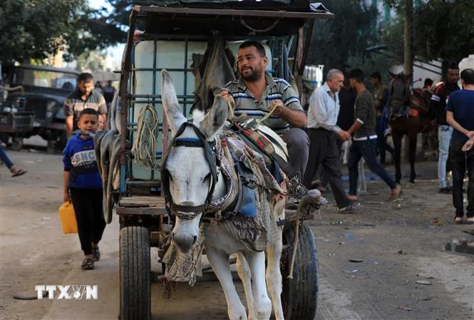 Người dân vận chuyển nước sinh hoạt tại Khan Younis, Dải Gaza. (Ảnh: THX/TTXVN)