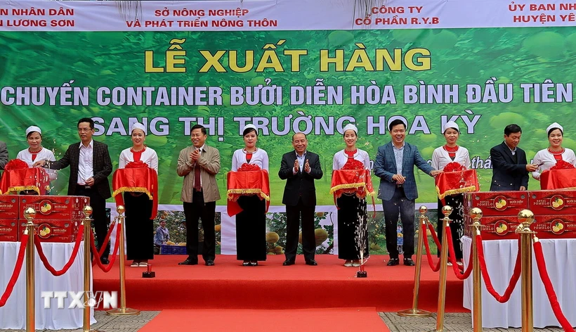 Các đại biểu cắt băng xuất lô hàng bưởi Diễn đầu tiên sang thị trường Hoa Kỳ. (Ảnh: Thanh Hải/TTXVN)