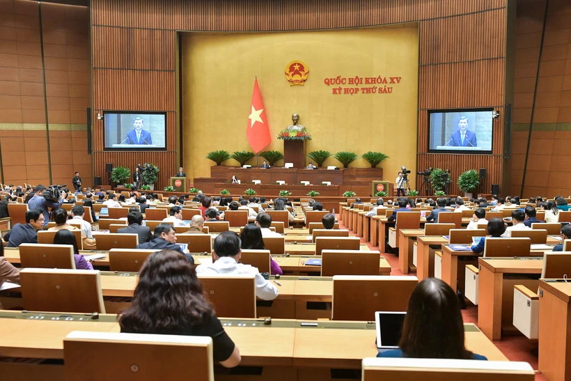 Các đại biểu Quốc hội làm việc tại hội trường. (Ảnh: CTV/Vietnam+)