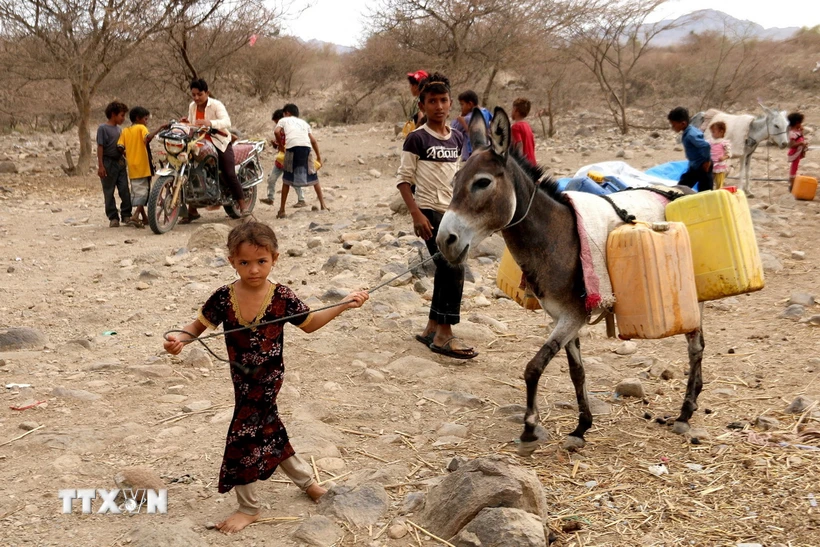 Trẻ em đi lấy nước sinh hoạt tại trại tị nạn ở làng Hays, tỉnh Hodeida (Yemen), nơi các em cùng cha mẹ lánh nạn tránh xung đột, ngày 22/8/2023. (Ảnh: AFP/TTXVN)