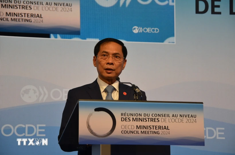 Bộ trưởng Ngoại giao Bùi Thanh Sơn phát biểu tại Lễ Kỷ niệm 10 năm thành lập Chương trình khu vực Đông Nam Á (SEARP) của OECD. (Ảnh: Thu Hà/TTXVN)